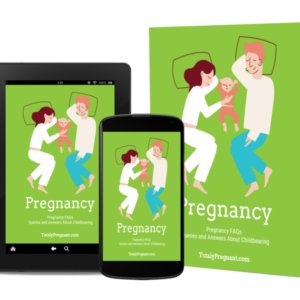 3D Cover image for the Pregnancy FAQ eBook.
