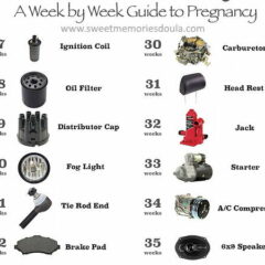 Image shows part of our baby birth chart week by week for petrol heads!